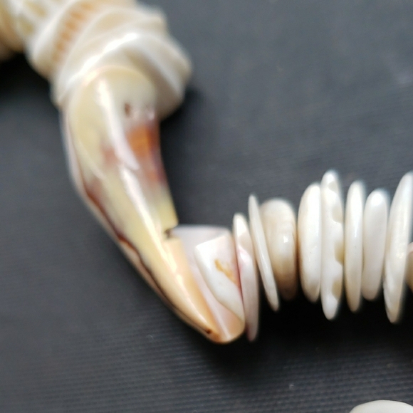 Natural Shell Necklace/choker Length - Picture 6 of 6